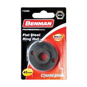 Flat Steel Ring Nut