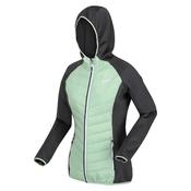 Regatta Womens Andreson VIII Jacket - Quiet Green/Seal Grey image