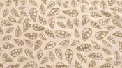 Robens Fleece Carpet Klondike S