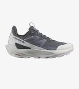 Salomon Womens ELIXIR ACTIV GORE-TEX Shoe - India Ink / Glacier Gray / Orchid Petal: 6 UK