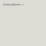 Cotton Bloom