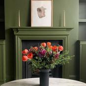 Olive Colour 72 image