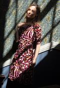 Leo Print Dress, Wine / 10 image