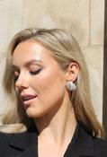 Glass Crystal Chunky Earrings - Silver / One image