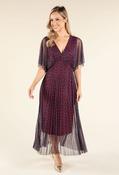 Polka Dot Mesh Dress - Wine / F/S image