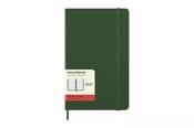 Moleskine Large Daily Diary 12 Months Hardback Myrtle Green 2027 image