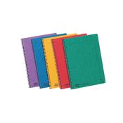 Clairefontaine Europa Notemaker A4 Asstd Pk10 image