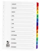 Index A4 Multi-Punched Jan-Dec Reinforced Multicolour Board Clear Tabbed image