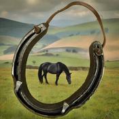 Lucky Horseshoe Keyrack - Bronze coloured with two Hooks by Liffey Forge