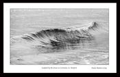 Sculpted by the Ocean, Curracloe, Co. Wexford image