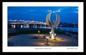 Winged Sentinel, Wexford Town image