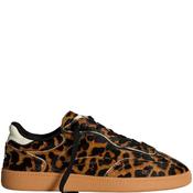 Hoff Womens Lace Trainer - Leopard Animal Print - 37 image