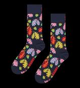 P003790 Happy Socks Acorn Sock • Pauls of Kilkenny image
