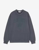 Carhartt WIP I036065 Faded Pond Corps Sweatshirt • Pauls of Kilkenny