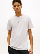 Tommy Jeans DM0DM20744 TJM REG LINEAR LOGO • Pauls of Kilkenny