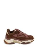 Ash F26-ADDICT01 Trainers • Pauls of Kilkenny image