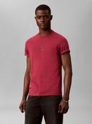 Calvin Klein LV04RB866G SS 30S MICRO MONOLOG TEE • Pauls of Kilkenny image