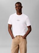 Calvin Klein LV04RB866G SS 30S MICRO MONOLOG TEE • Pauls of Kilkenny image