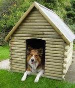 Slaneyside kennel supplies deals