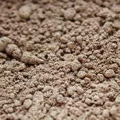 Organic Mixed Spice (10g)