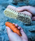 Natural Vegetable Scrubbing Brush