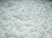 Organic Corn Starch (100g)