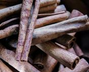 Organic Cassia Cinnamon Quills (10g)