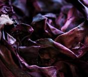 Organic Seaweed Dulse/ Dillisk Irish (10g)
