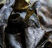 Organic Seaweed Kombu Irish (10g)
