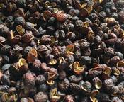 Organic Peppercorns Szechuan (10g)