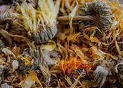 Calendula Flowers - grown in Ireland (10g)