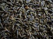 Lavender Buds (10g)