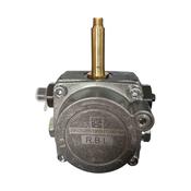 Riello RDB Pump