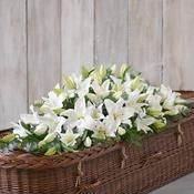 Lily Casket Spray - White