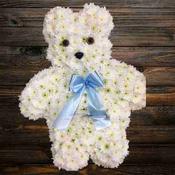 Teddy