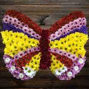 Butterfly arrangement image
