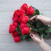 Florist choice dozen standard red roses