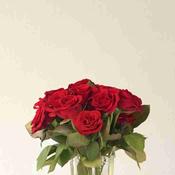 Florist choice dozen deluxe red roses