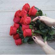 Half Dozen Red Roses image