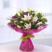 Opulent Lillies