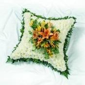 Cushion based image