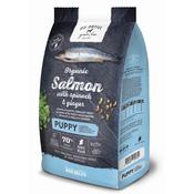 GO NATIVE Puppy Salmon, Spinach &amp;amp; Ginger image
