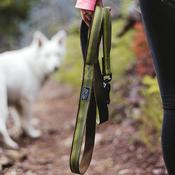 K9 EXPLORER Lead 6' Large, Green image
