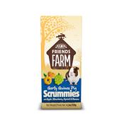 TINY FRIENDS FARM Gerty Guinea Pig Scrummies, 120g image