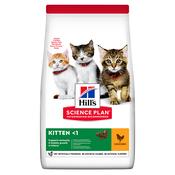 HILLS Kitten Food, Chicken image