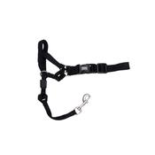 COASTAL Walk 'N' Train Head Halter image