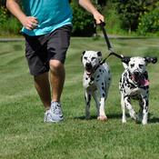 COASTAL Double Dog Walker, Black image