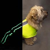 PETLIFE Flecta Vizlite DT Dog Jacket image