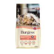 BURGESS Scottish Salmon Adult Cat Food, 1.5kg image