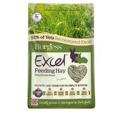 BURGESS EXCEL Feeding Hay Dried Fresh Grass, 1kg image